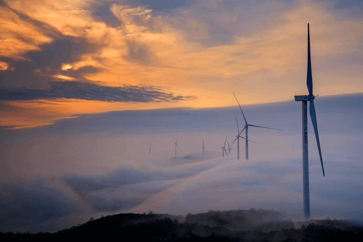 How Wind Farms Contribute to Local Economic Growth